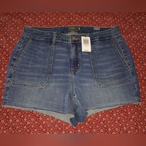 Torrid Denim Blue Jean Shorts